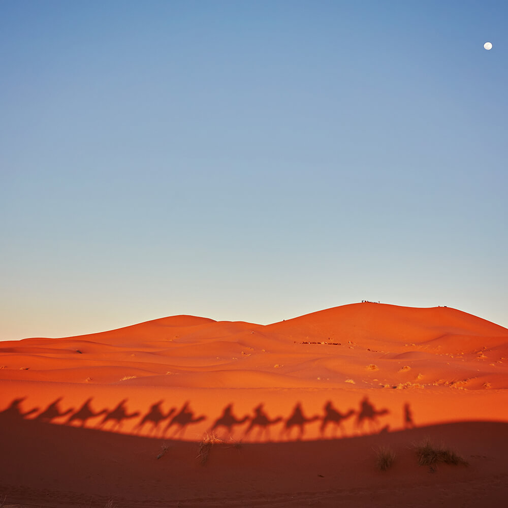 VIP Red Dune Desert Safari